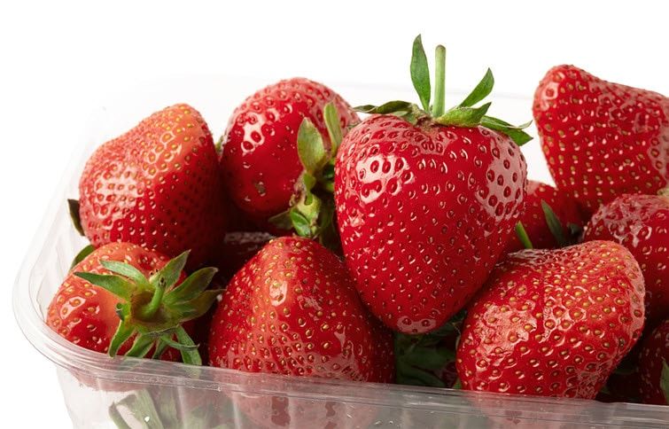 Biodisponibilità della Fisetina e Precauzioni Antiemorragiche